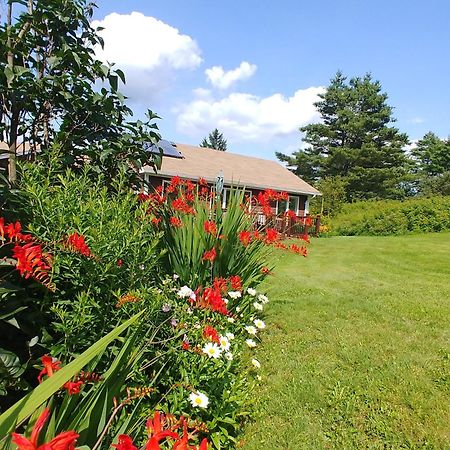 Spacious Country Retreat Close To Town And Nature, Sylvana Farm Vt มอนต์พีเลียร์ ภายนอก รูปภาพ
