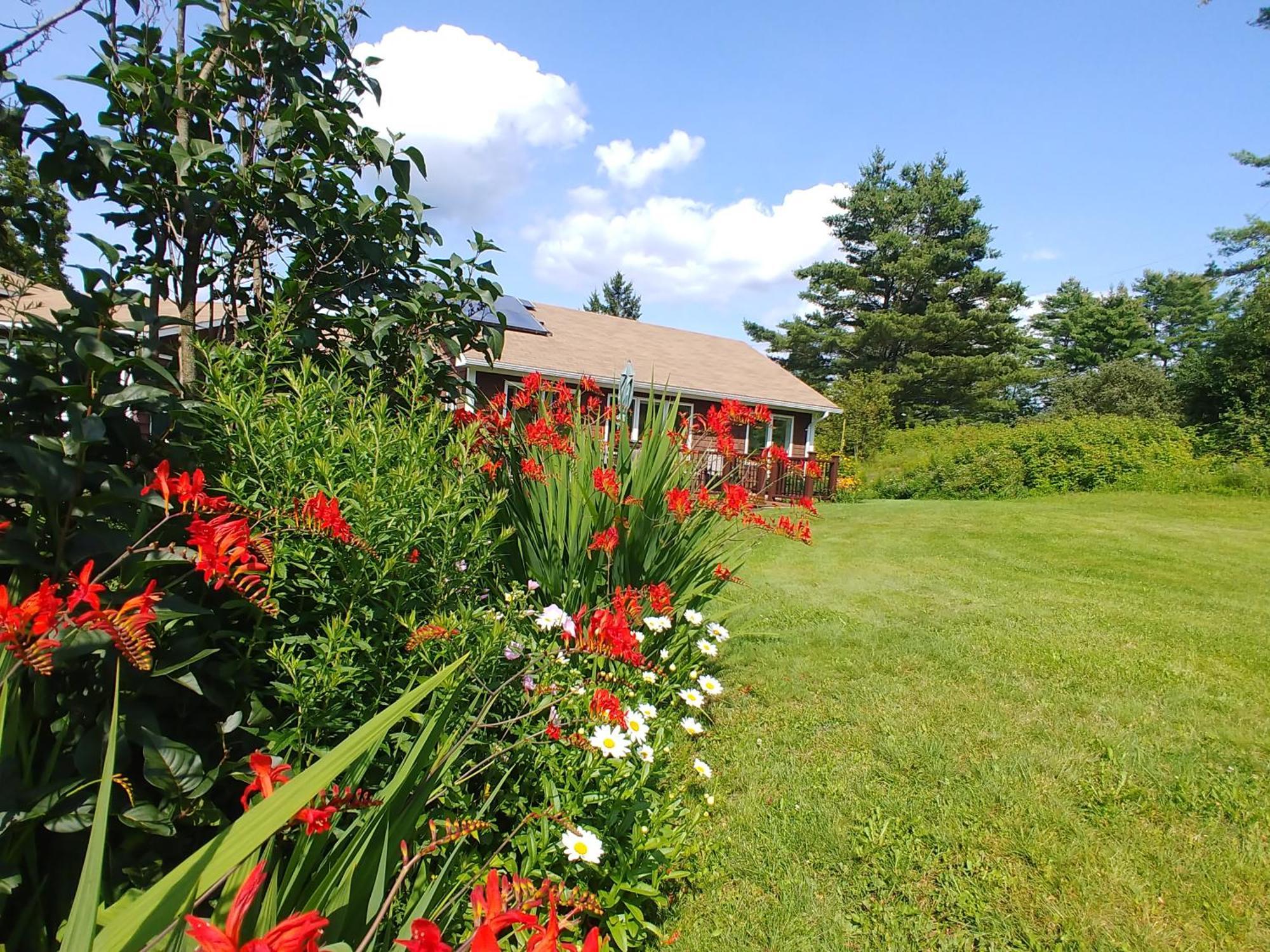 Spacious Country Retreat Close To Town And Nature, Sylvana Farm Vt มอนต์พีเลียร์ ภายนอก รูปภาพ